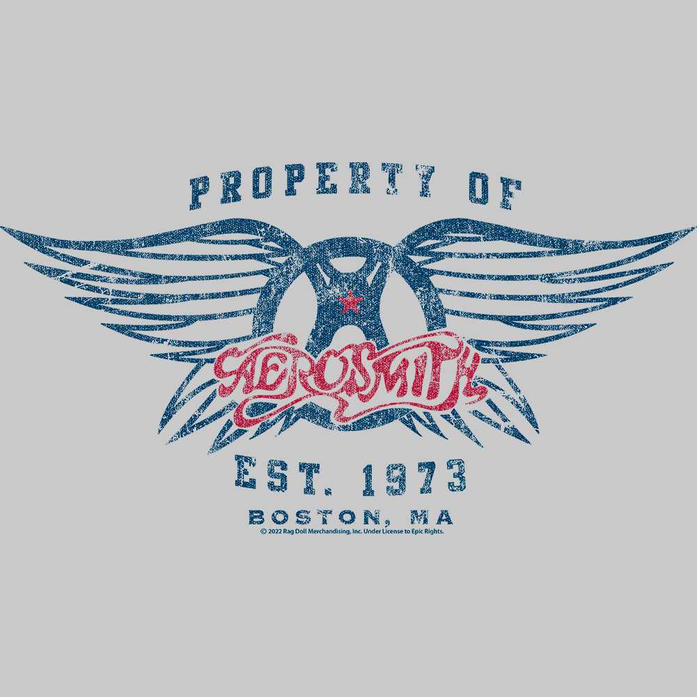 Aerosmith Est1970 Graphic Sweatshirt - Classic Rock Music Clothing - Vintage Concert Lover Gift Idea