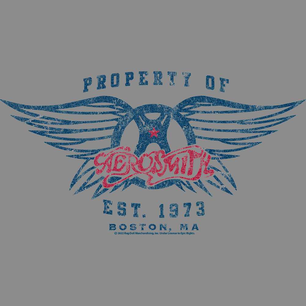 Aerosmith Est 1973 Graphic T-Shirt - Classic Rock Music Clothing - Vintage Concert Lover Gift Idea