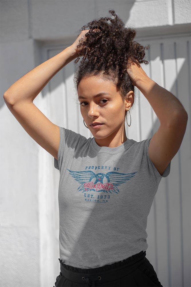 Aerosmith Est 1973 Graphic T-Shirt - Classic Rock Music Clothing - Vintage Concert Lover Gift Idea