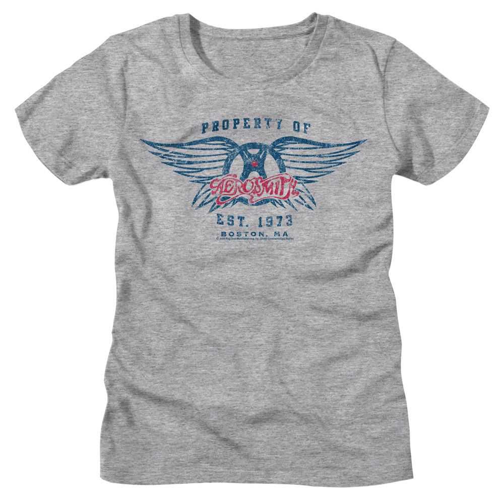Aerosmith Est 1973 Graphic T-Shirt - Classic Rock Music Clothing - Vintage Concert Lover Gift Idea