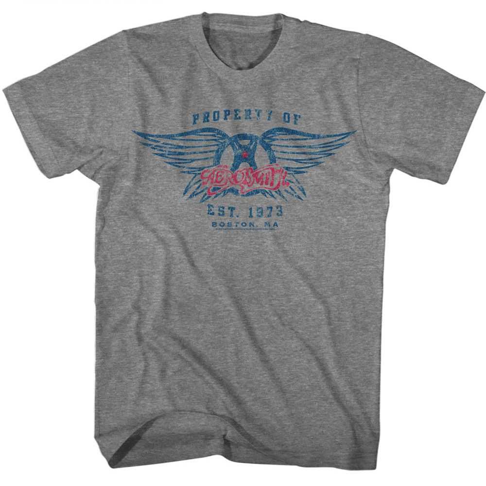 Aerosmith Est. 1970 Graphic T-Shirt - Classic Rock Music Clothing - Vintage Concert Lover Gift Idea
