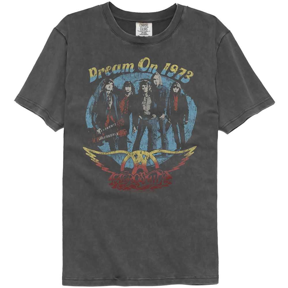 Aerosmith Dream On Graphic T-Shirt - Classic Rock Music Clothing - Vintage Concert Lover Gift Idea