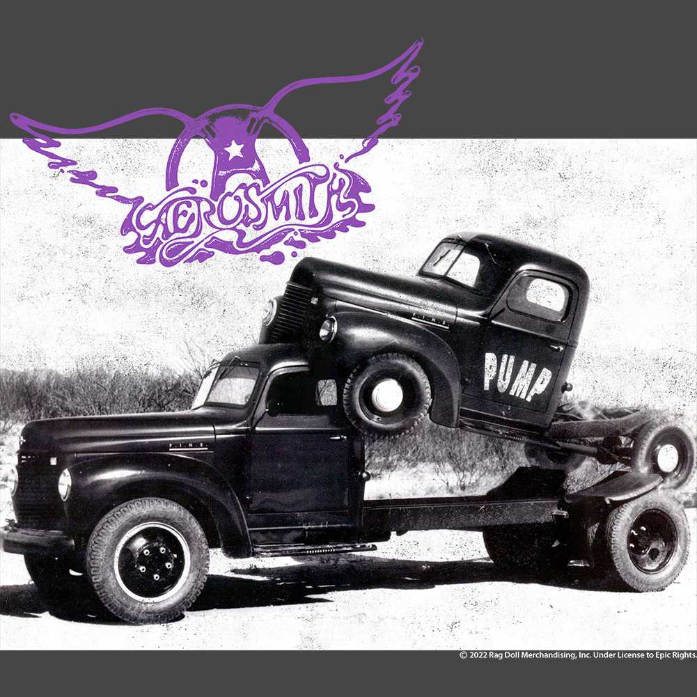 Aerosmith Pump Adult Graphic T-Shirt - Retro Rock Music Clothing - Concert Lover Gift Idea