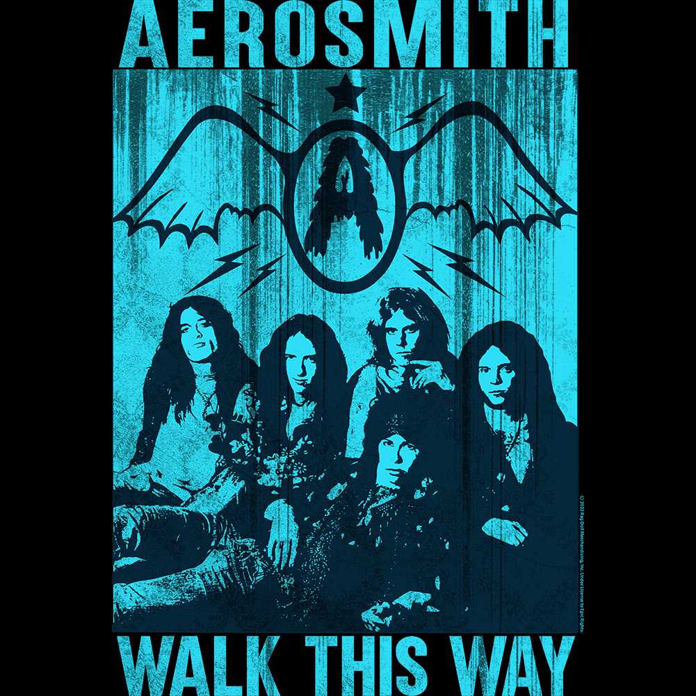 Aerosmith Aero This Way2 Graphic T-Shirt - Classic Rock Music Clothing - Vintage Concert Lover Gift Idea