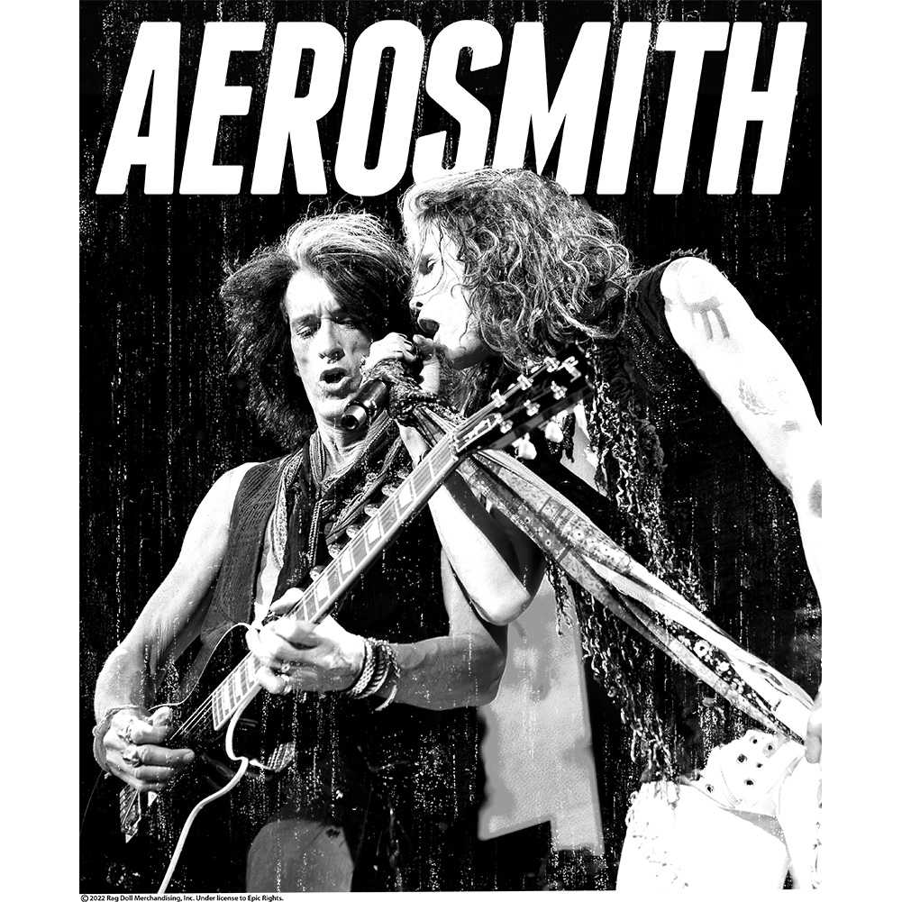 Aerosmith BW Graphic T-Shirt - Classic Rock Music Clothing - Vintage Concert Lover Gift Idea