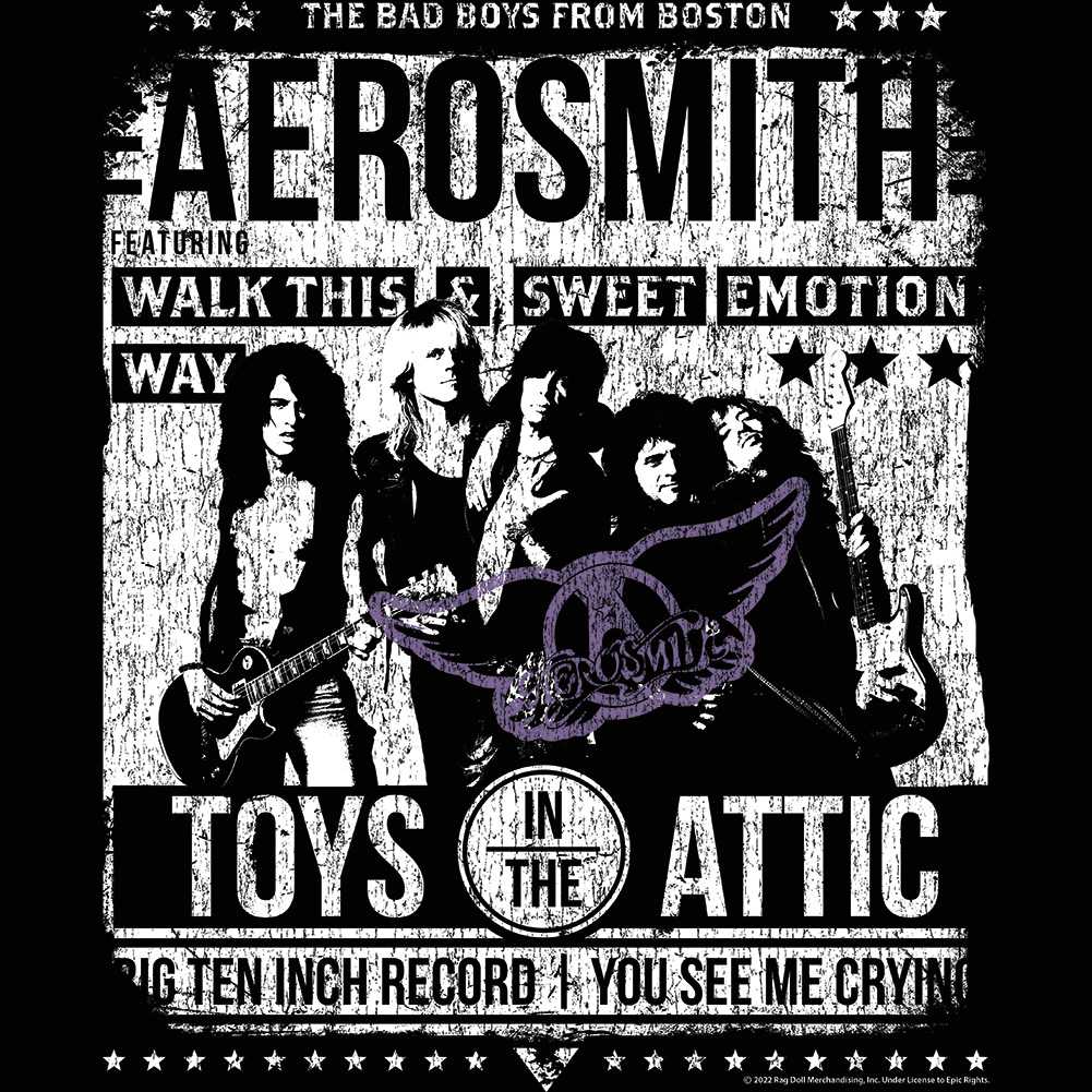 Aerosmith Aero Poster Adult Graphic T-Shirt - Retro Rock Music Clothing - Concert Lover Gift Idea