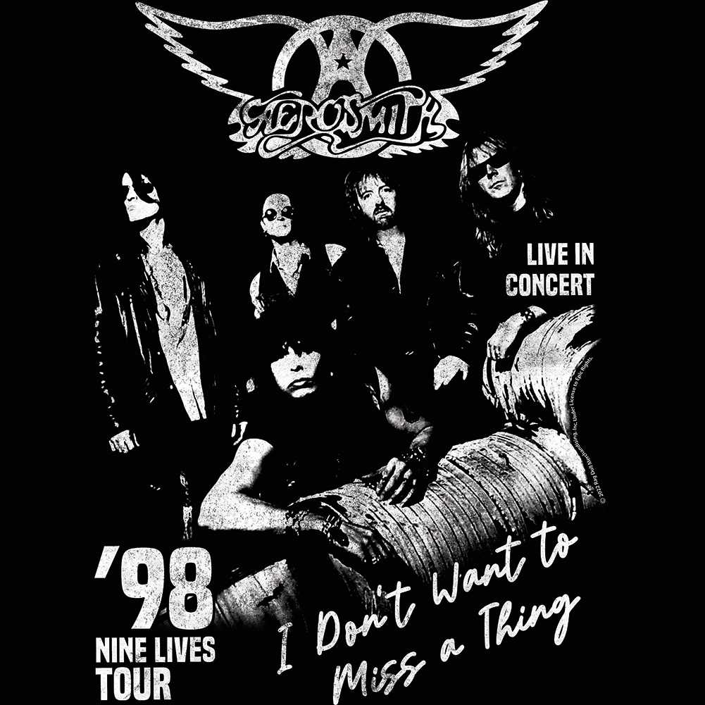 Aerosmith Miss A Thing Graphic T-Shirt - Classic Rock Music Clothing - Vintage Concert Lover Gift Idea