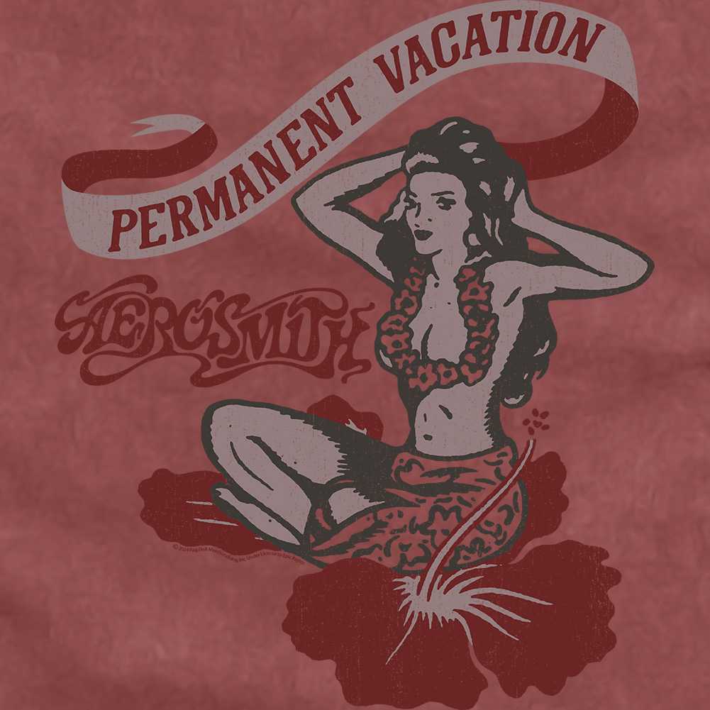 Aerosmith PV Graphic T-Shirt - Classic Rock Music Clothing - Vintage Concert Lover Gift Idea