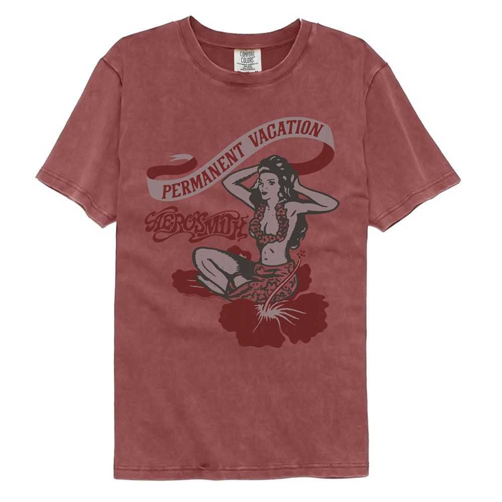 Aerosmith PV Graphic T-Shirt - Classic Rock Music Clothing - Vintage Concert Lover Gift Idea