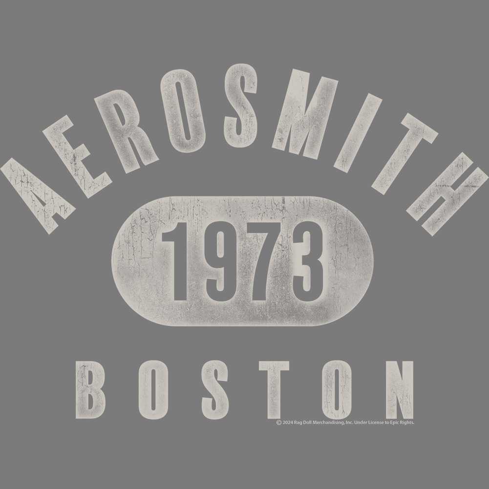 Aerosmith 1973 Boston Graphic T-Shirt - Classic Rock Music Clothing - Vintage Concert Lover Gift Idea