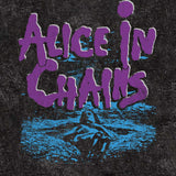 Alice In Chains Dirt Adult Graphic T-Shirt - Classic Rock Music Clothing - Vintage Concert Lover Gift Idea