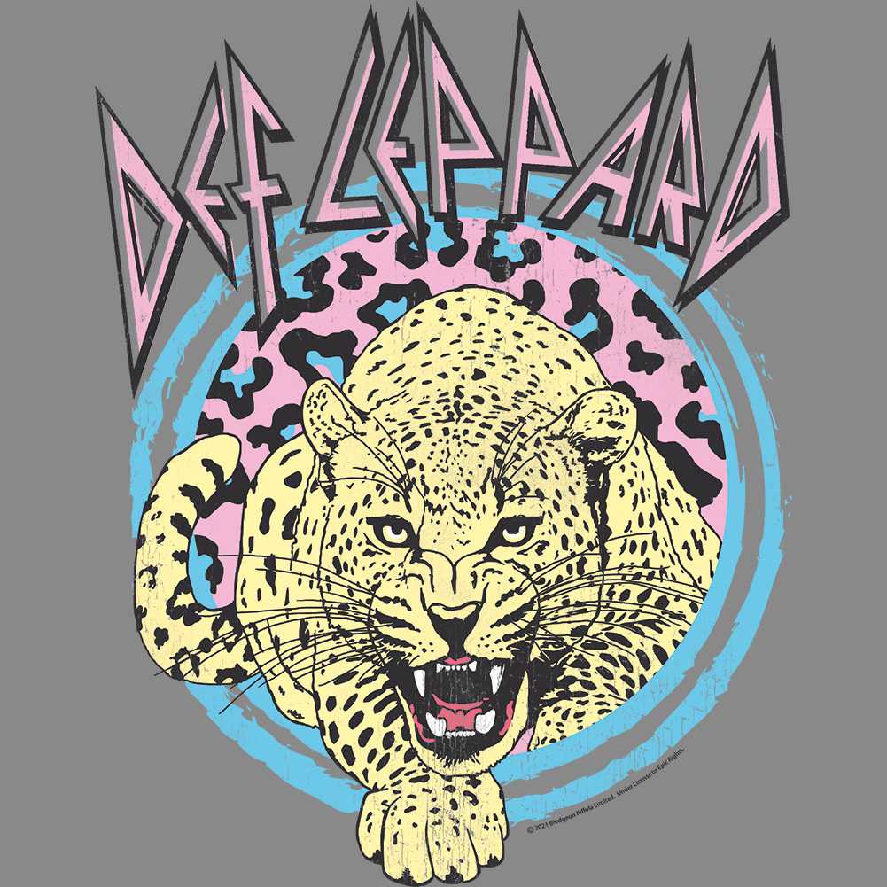 Def Leppard Pastel Leopard Graphic Woman Tank Top - Official Band Tee
