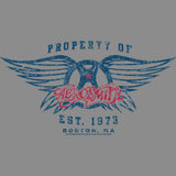 Aerosmith Est 1973 Graphic T-Shirt - Classic Rock Music Clothing - Vintage Concert Lover Gift Idea