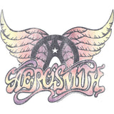 Aerosmith Faded Pinks Graphic T-Shirt - Classic Rock Music Clothing - Vintage Concert Lover Gift Idea