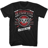 Aerosmith Boston 2015 Graphic T-Shirt - Classic Rock Music Clothing - Vintage Concert Lover Gift Idea