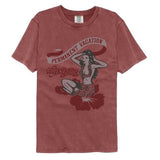 Aerosmith PV Graphic T-Shirt - Classic Rock Music Clothing - Vintage Concert Lover Gift Idea
